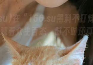 在“166.su黑料不打烊万篇长征”上观看众生百态，时不时还真有点小心动。