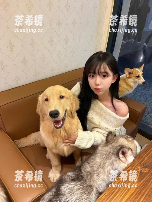 51cg吃瓜网的视频栏目，个个都是“晋级赛”！