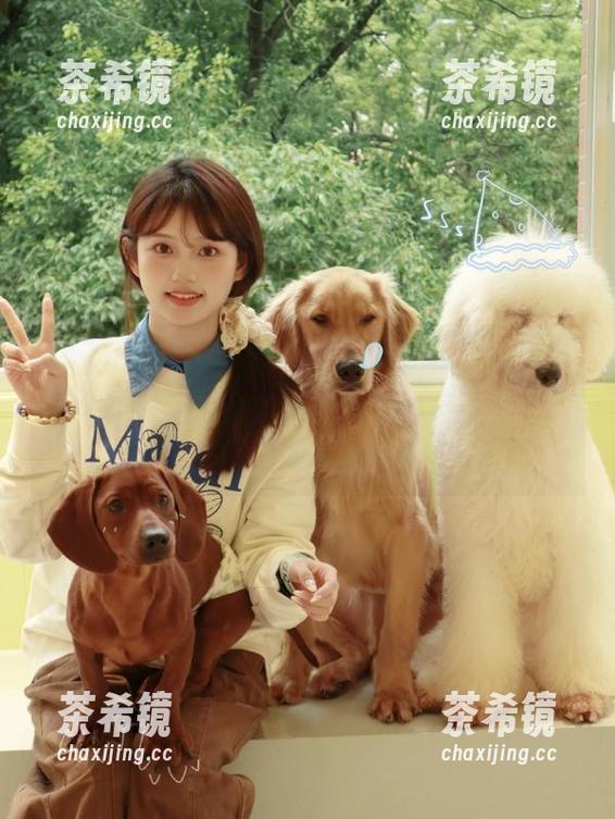51吃瓜网无敌导航，在线免费看瓜剧，不小心成了“黑历史”录像的主角…谁说不是呢？！