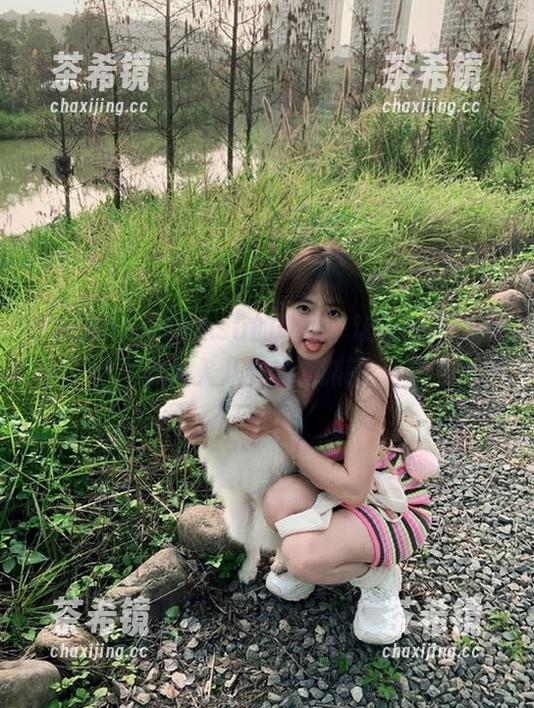 998.su的地址，让我一不小心就陷入八卦的深渊了…