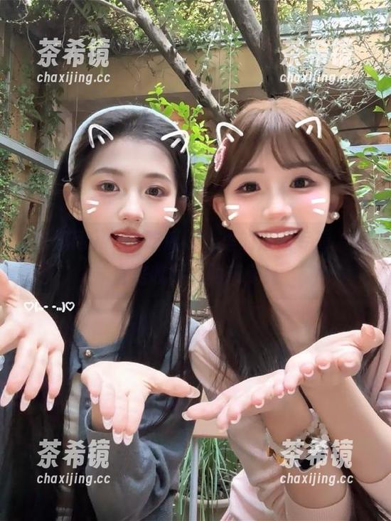 “17吃瓜网”里的蘑菇专辑，简直是收藏家的新宠！