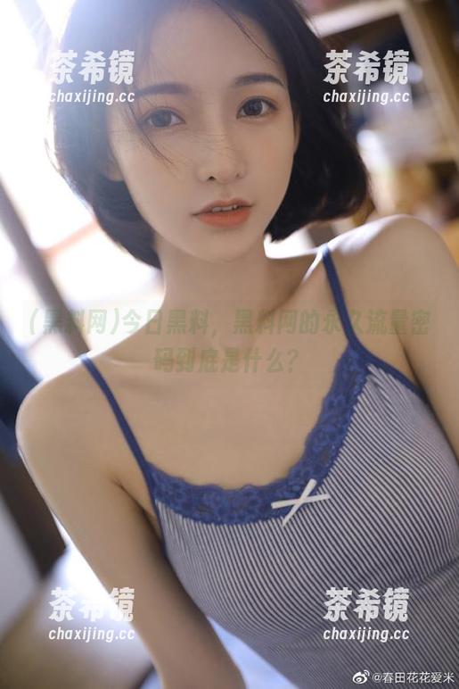 今日黑料，黑料网的永久流量密码到底是什么？