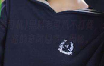 黑料老司机不打烊，永不迷路的奇闻趣事大揭秘。