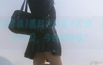 黑料老司机不打烊，在线等你来瓜，今晚聊啥呢？